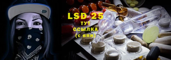 хмурый Белокуриха