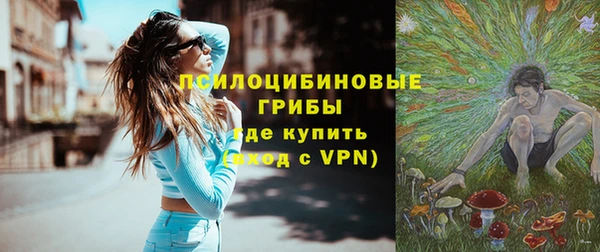 хмурый Белокуриха