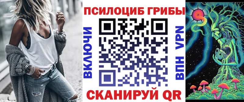 дарнет шоп  Полесск  Псилоцибиновые грибы Psilocybe 